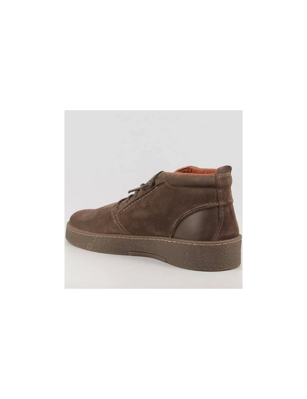 C-1366 Botin CETTI